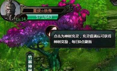 紫竹